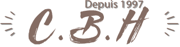 Logo séparateur foncé